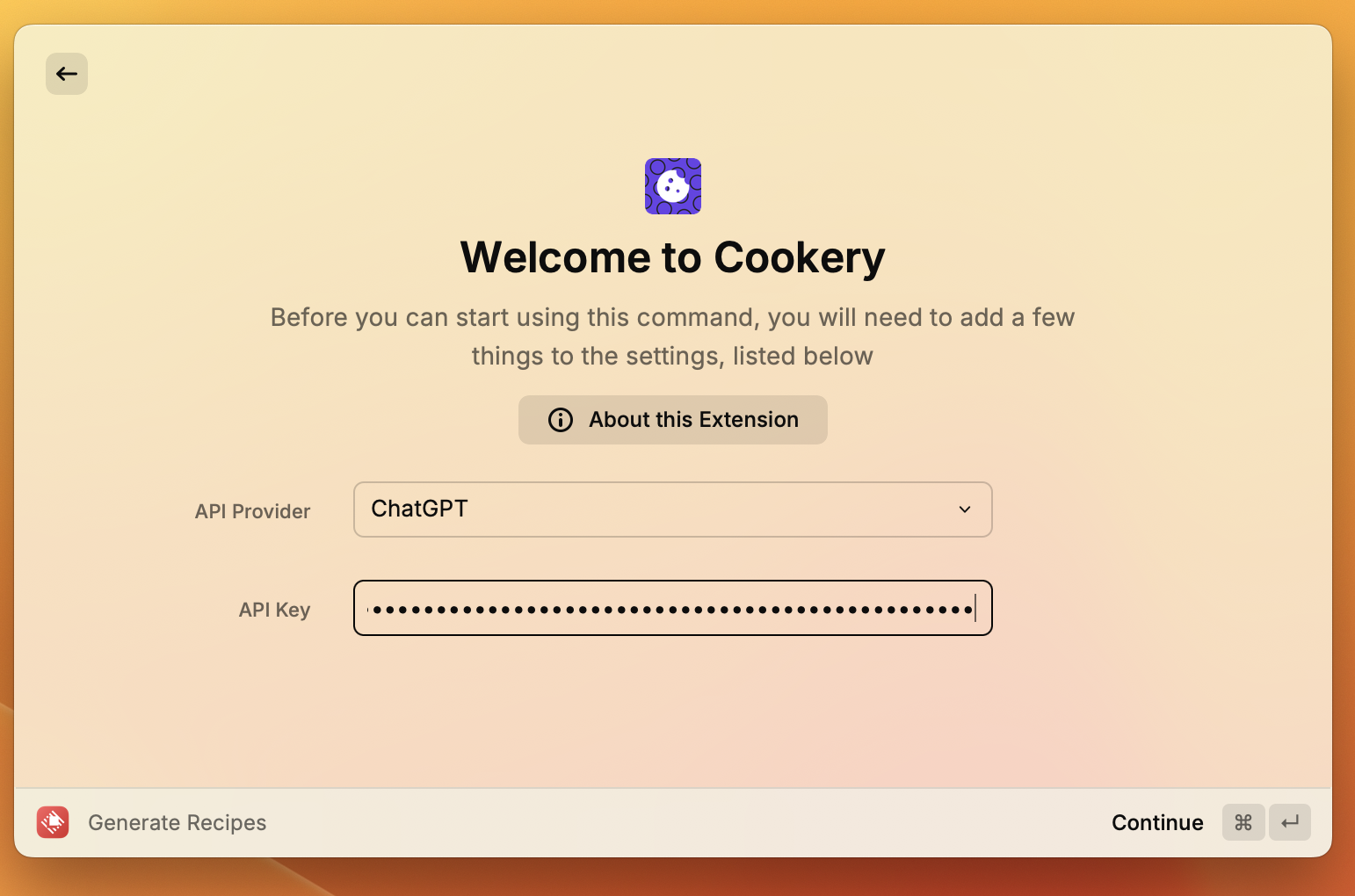 Enter API key screen